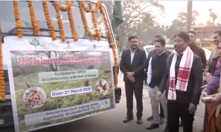 Assam’s Karbi Anglong Ginger Makes Historic Entry into London Market